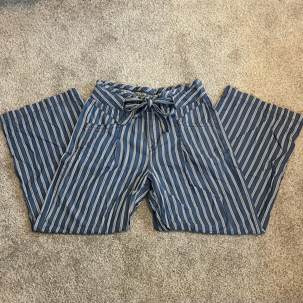 American Eagle Outfitters Blue and Cream Striped Pants